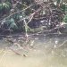IMG 0961
