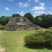 IMG 0986