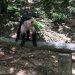 IMG 1241